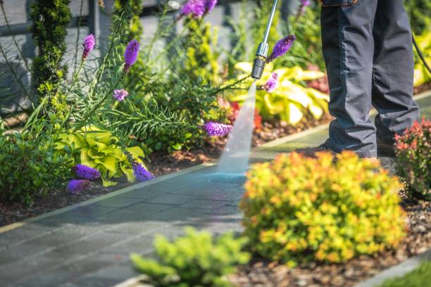 Best Dumpster Area Cleaning  in Sugarcreek, OH
